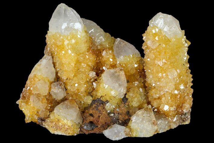 Sunshine Cactus Quartz Crystal Cluster - South Africa #115165